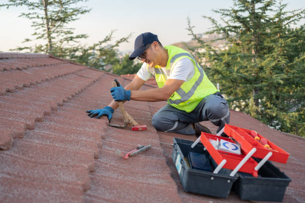 Roof Gutter Cleaning in Dakota City, NE