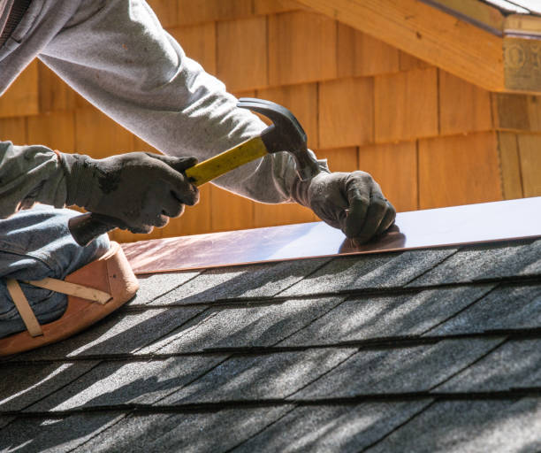 Best Flat Roof Repair Services  in Dakota City, NE